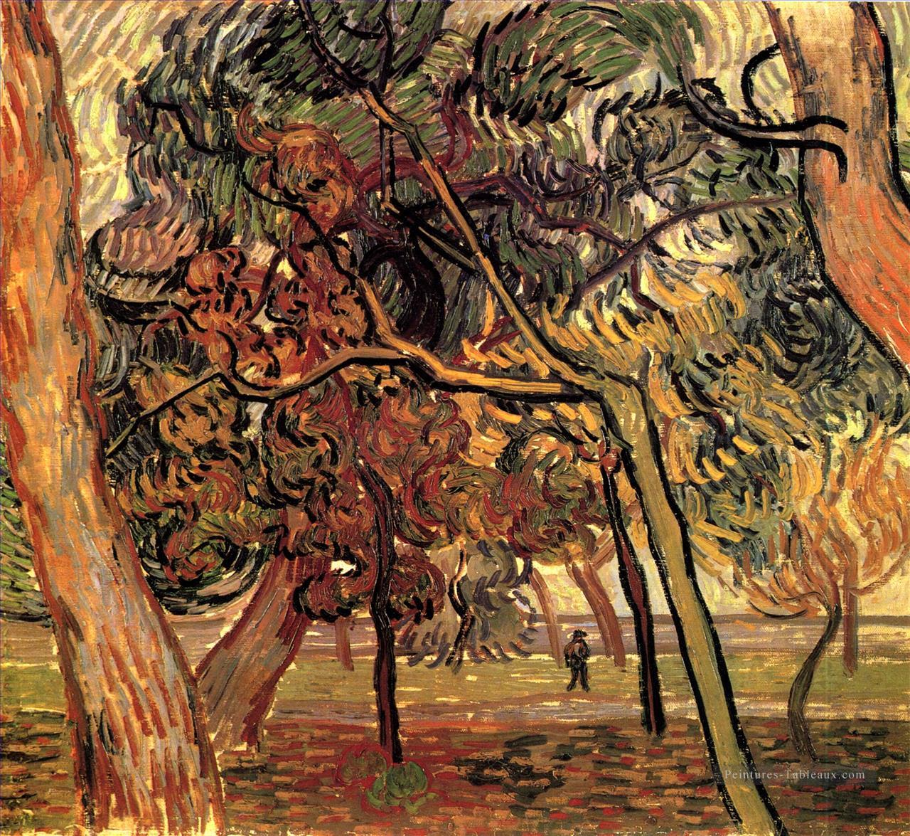 étude des pins 1889 Vincent van Gogh Peintures à l'huile